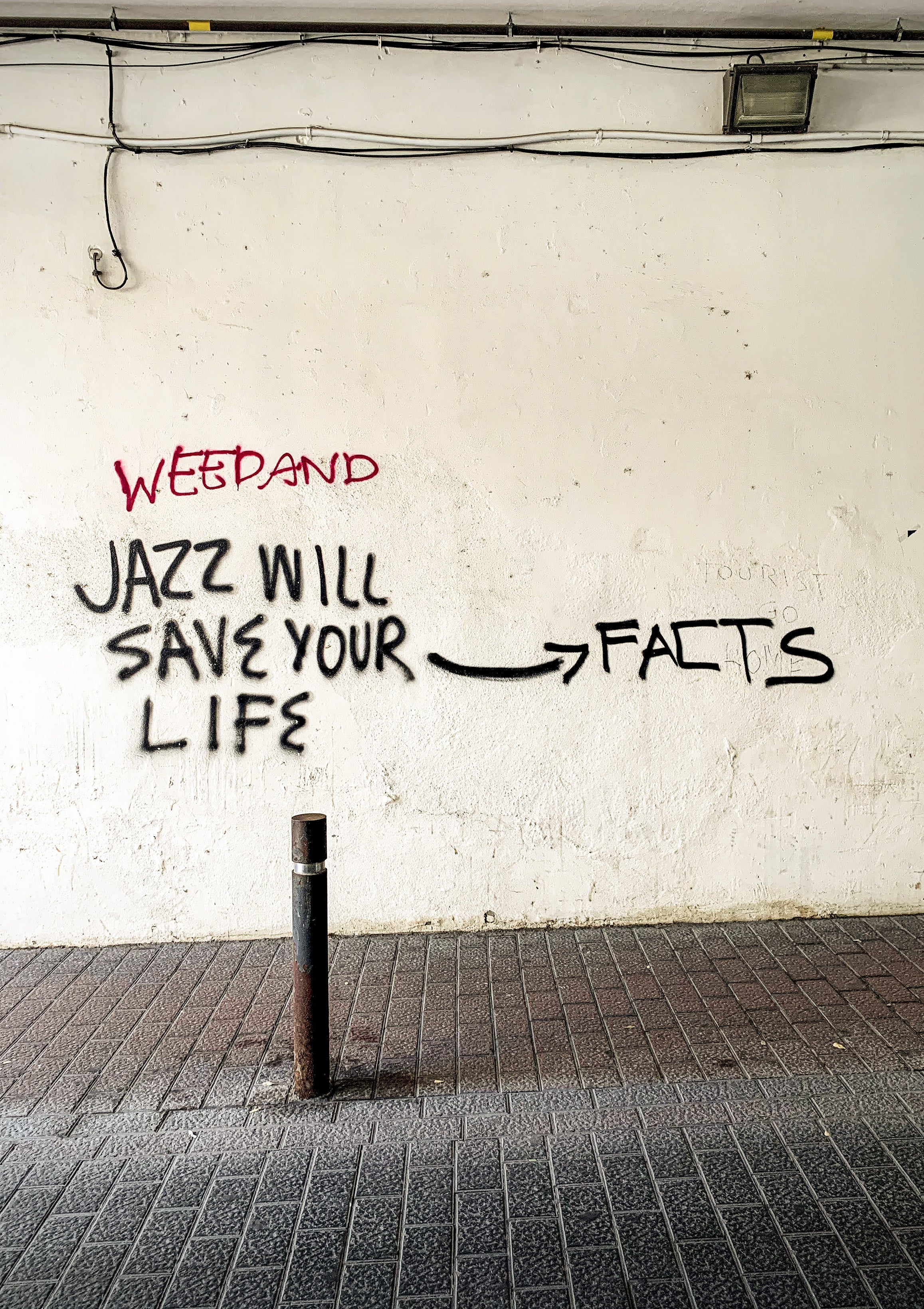 Jazz Will