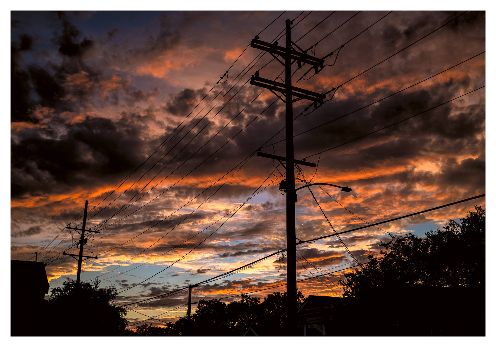 Autumn Lines - Artwork Detail