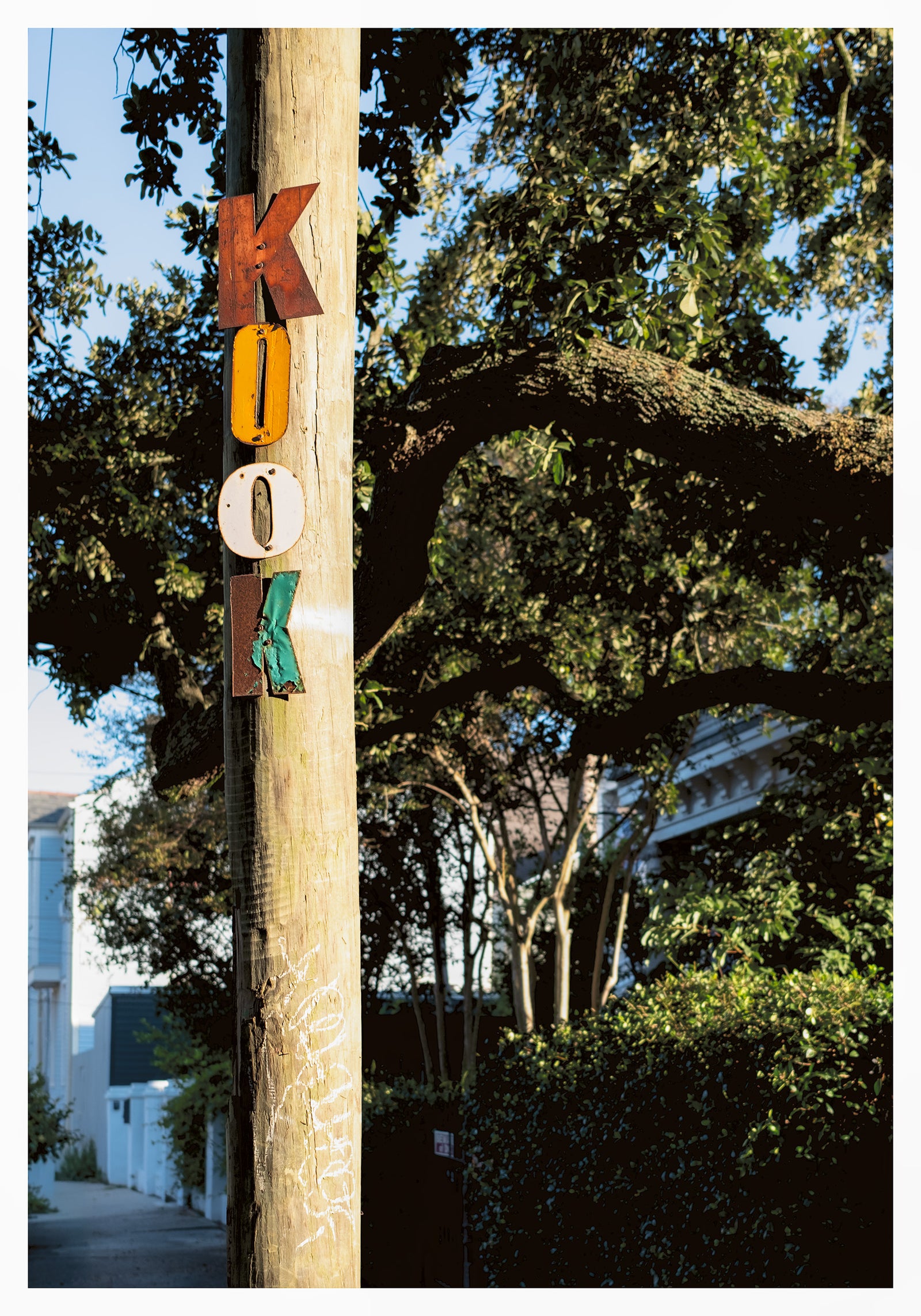 Neighborhood Kook - Artwork Detail